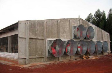 pré-moldado, estrutura de concreto, estrutura metálica, aviário, galpão