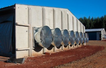 pré-moldado, estrutura de concreto, estrutura metálica, aviário, galpão