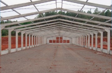 pré-moldado, estrutura de concreto, estrutura metálica, aviário, galpão