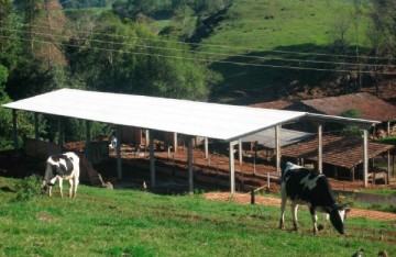 pré-moldado, estrutura de concreto, estrutura metálica, aviário, galpão