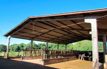 pré-moldado, estrutura de concreto, estrutura metálica, aviário, galpão
