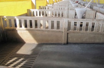 pré-moldado, estrutura de concreto, estrutura metálica, aviário, galpão