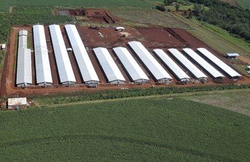 pré-moldado, estrutura de concreto, estrutura metálica, aviário, galpão