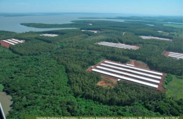 pré-moldado, estrutura de concreto, estrutura metálica, aviário, galpão